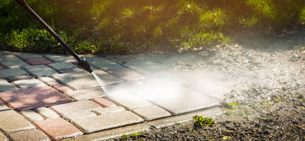 Best Solar Panel Cleaning  in Green Knoll, NJ